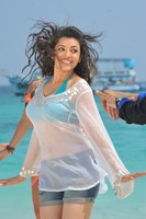 Kajal Agarwal Spicy Photos